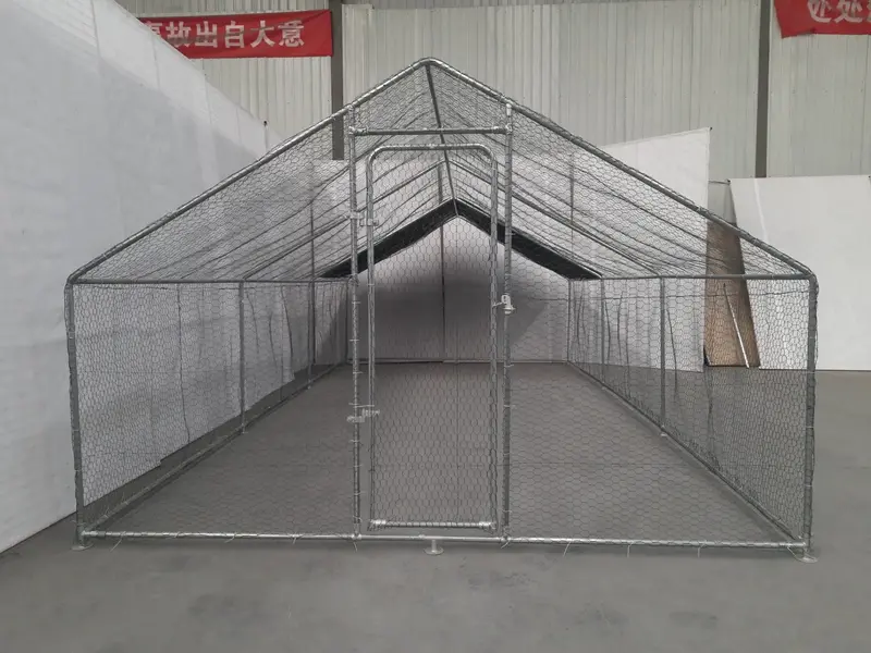 10′ x 20′ Heavy-Duty Dog Kennel & Chicken Run – Welded Metal Frame Enclosure