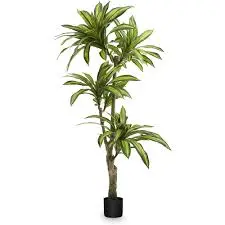 48-Inch Artificial Dracaena Tree – Realistic Silk Indoor Plant for Offices, Living Rooms, and Hospitality Spaces