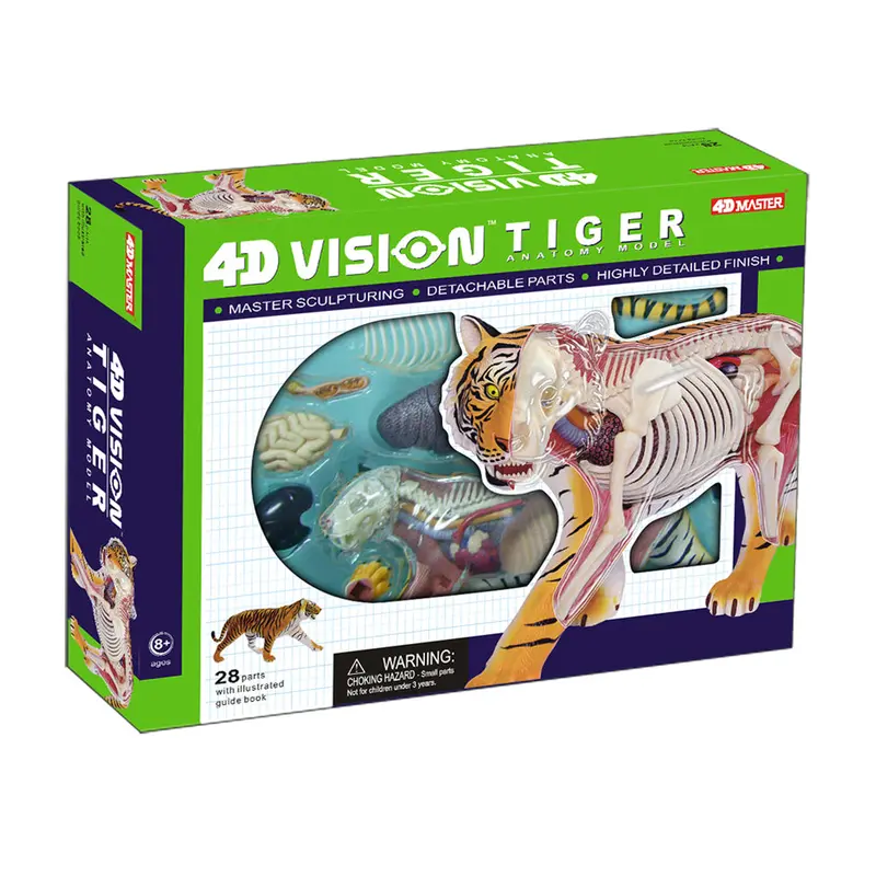4D Master Tiger Anatomy Display – Realistic Educational Animal Model