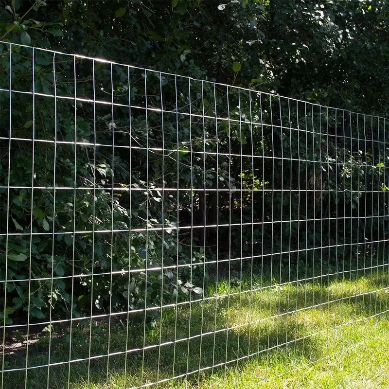 5 ft × 100 ft Galvanized Welded Wire Fence – 2″ × 4″ Industrial-Strength Mesh for Property Perimeter Security | SKU: 24100GA