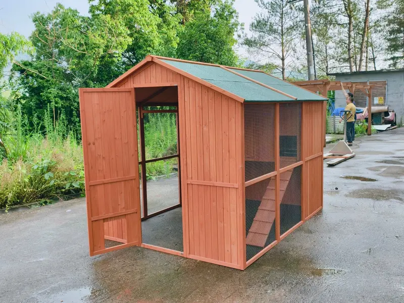 8 ft x 6 ft Walk-In Chicken Coop – Rustic Fir Wood & Galvanized Wire Enclosure with Asphalt Roof (P0846)