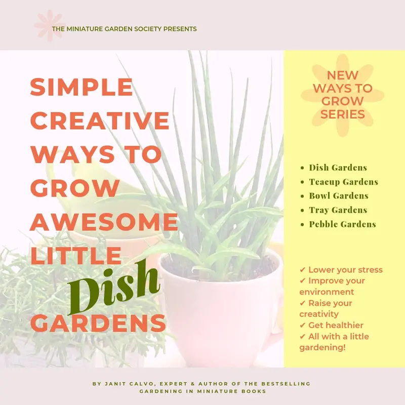 Beginner’s Guide to Dish Gardens – Illustrated PDF eBook