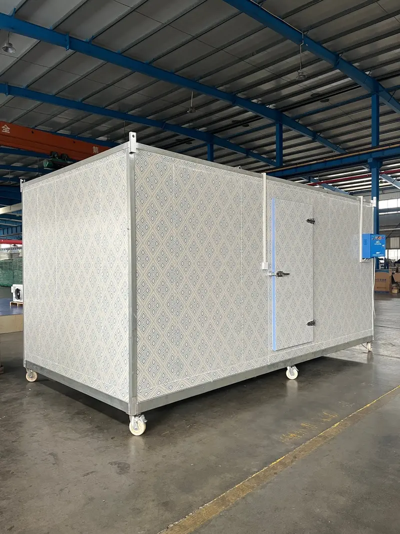 Customizable Walk-In Cold Storage Units – Freezer, Chiller & Cooler Systems in Standard Sizes (6×8 FT to 17×7 FT)