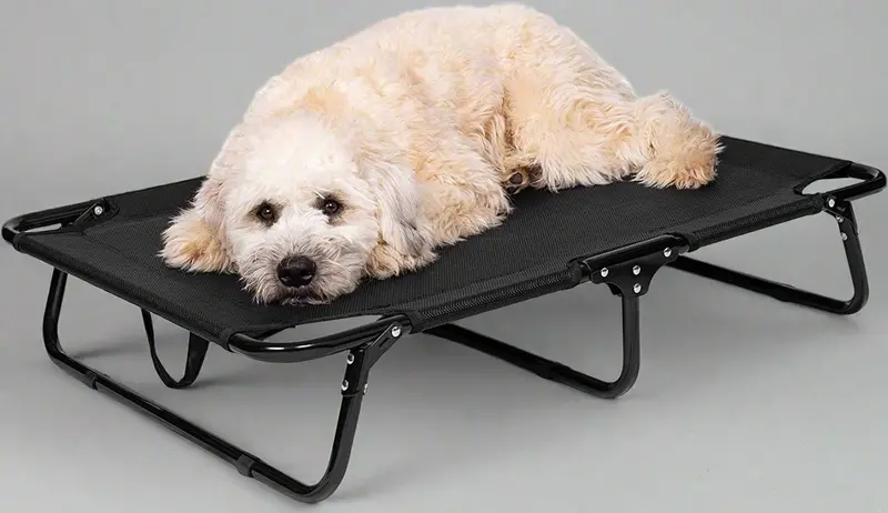 Elevated Folding Pet Bed – Portable Raised Cot for Dogs and Cats, Indoor/Outdoor Use