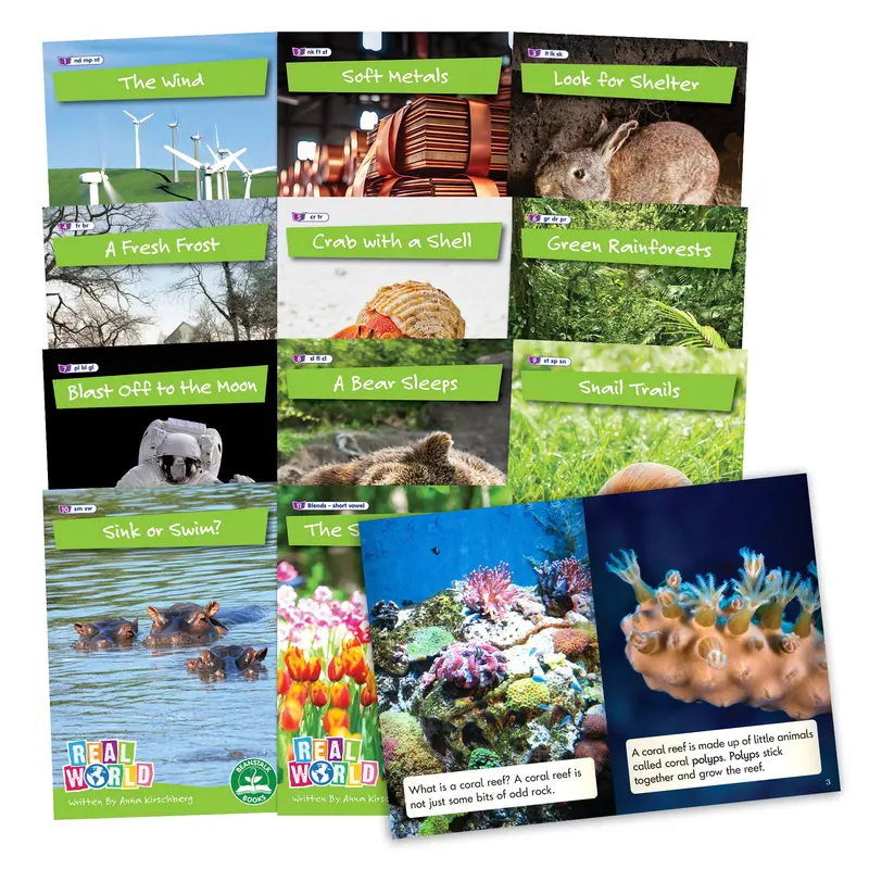 Junior Learning Real World Phase 4 Hi-Lo Decodable Books – Nonfiction 6-Book Collection