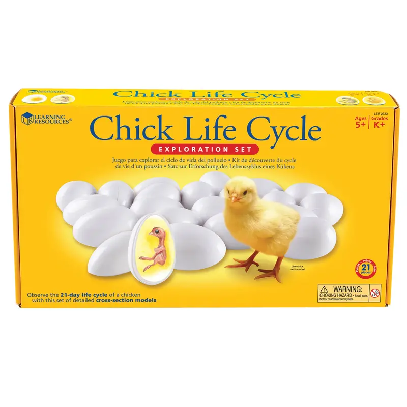 Learning Resources Chick Life Cycle Kit – Hands-On Science Exploration for Young Learners