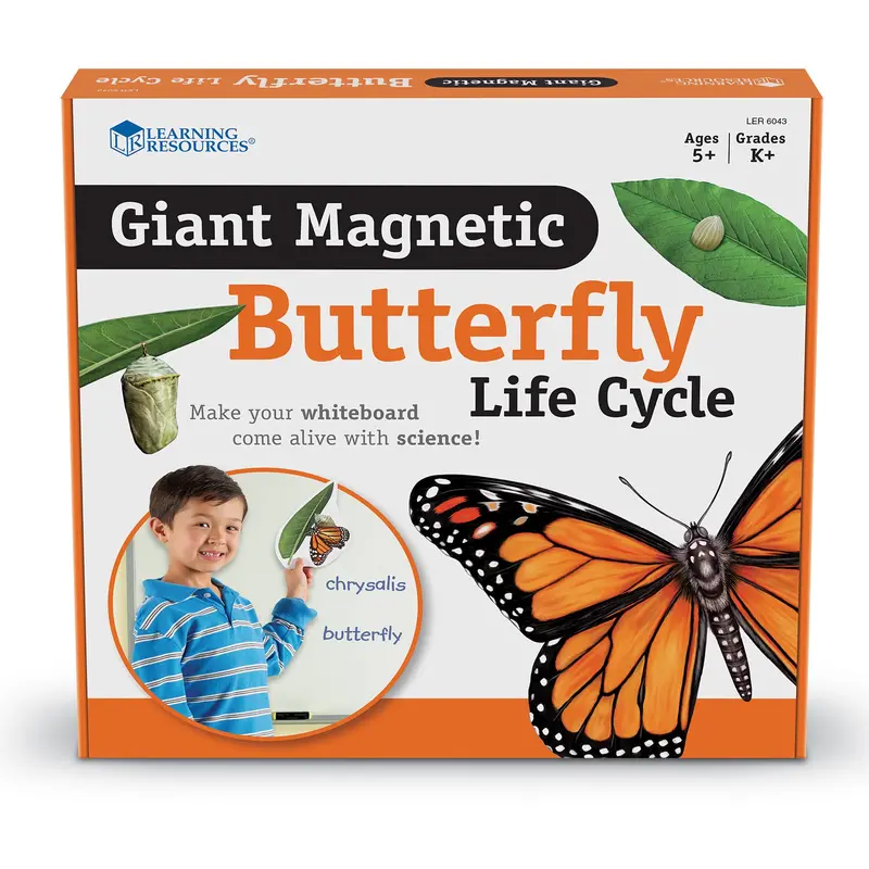 Learning Resources Giant Magnetic Butterfly Life Cycle – 9-Piece Interactive Science Display