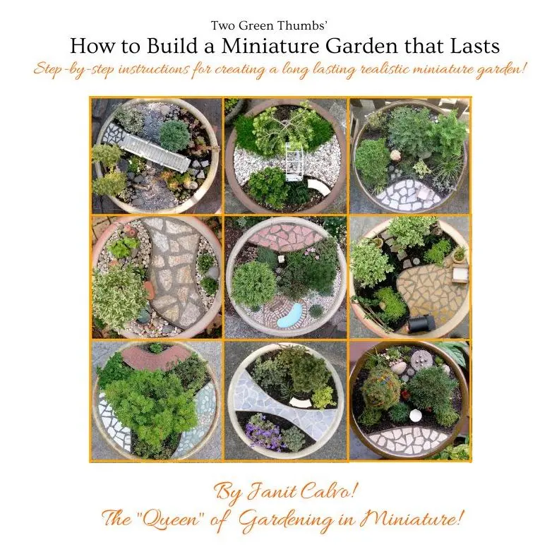 Long-Lasting Potted Mini Garden Construction Guide – Instant Download