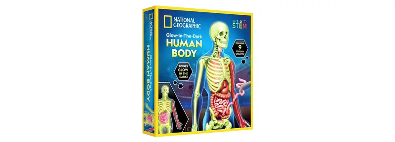 National Geographic Glow-in-the-Dark Human Body Anatomy Kit – 27-Piece Educational Model