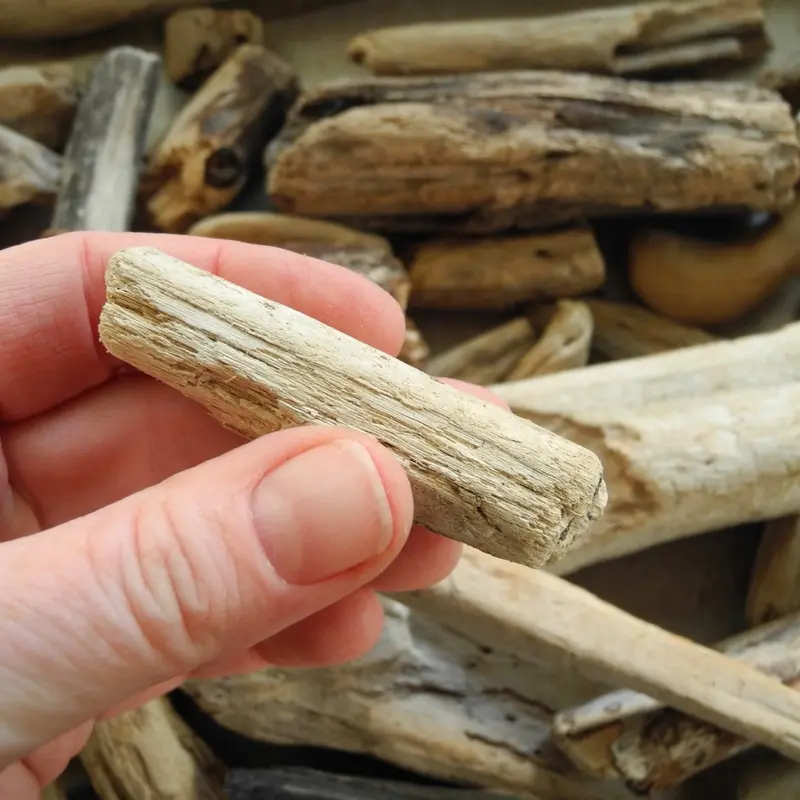 Natural Driftwood Log Set – 3 Pieces, Scale Options