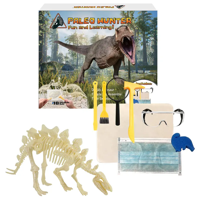 Paleo Hunter Stegosaurus Dig Kit – HamiltonBuhl STEAM Excavation Experience