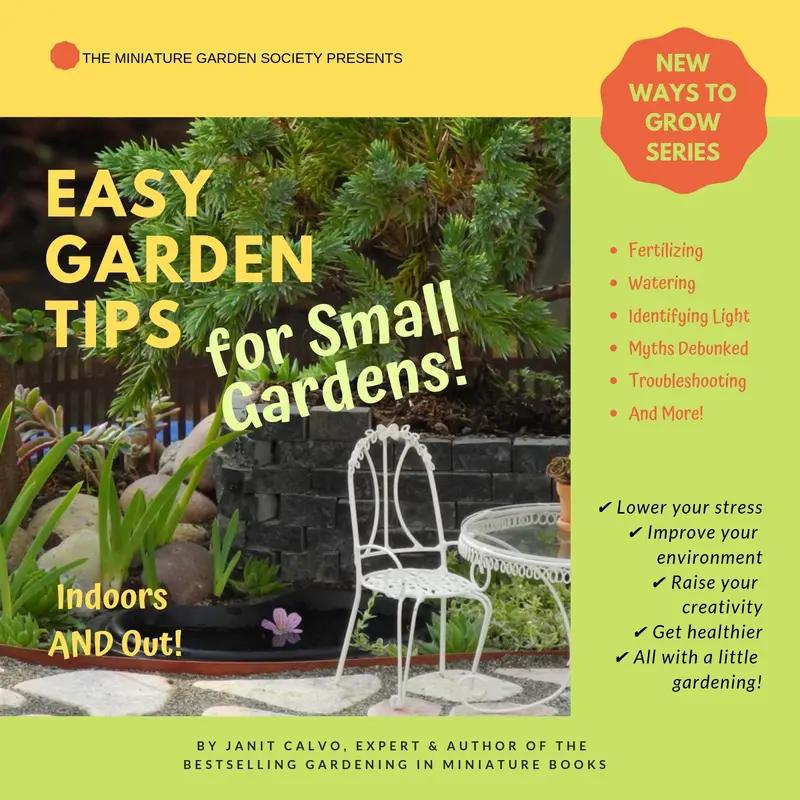 Practical Small-Space Gardening Tips – Digital Reference Ebook