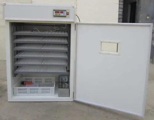 Pro1056 Commercial-Grade Cabinet-Style Egg Incubator with Advanced Digital Controls | SKU: 322510