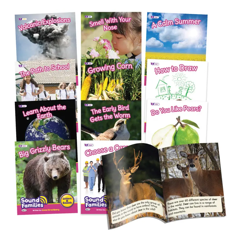 R-Controlled Vowels Decodable Reader Set – 12-Book Collection by Junior Learning
