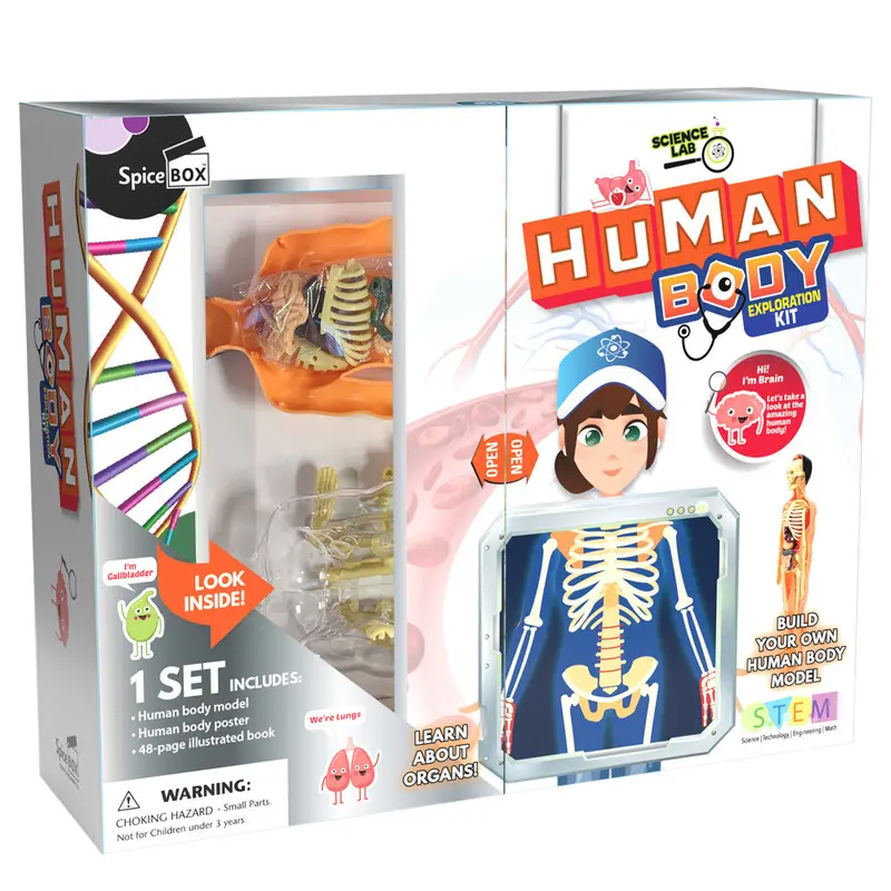 SpiceBox Human Body Discovery Kit – Interactive Anatomy Learning Set for Kids