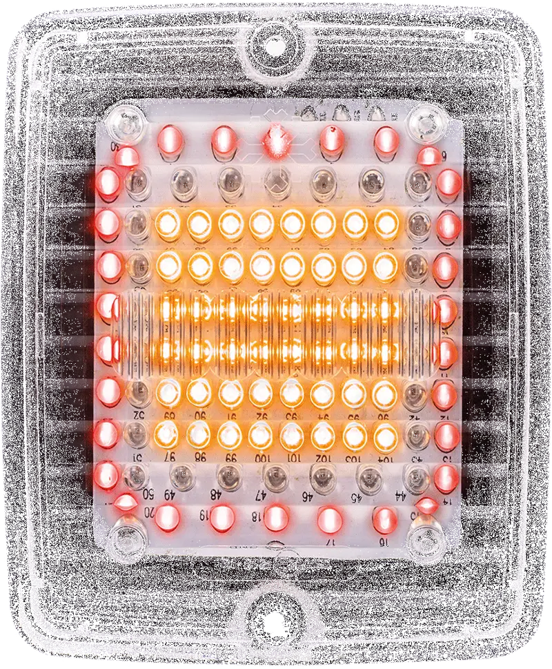 Strands IZE Rectangular LED Lamp – Clear-Lens Stop, Tail & Indicator Combo