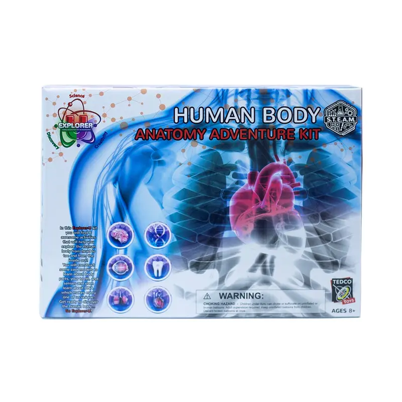 Tedco Human Body Anatomy Exploration Kit – Hands-On Science Learning Toy