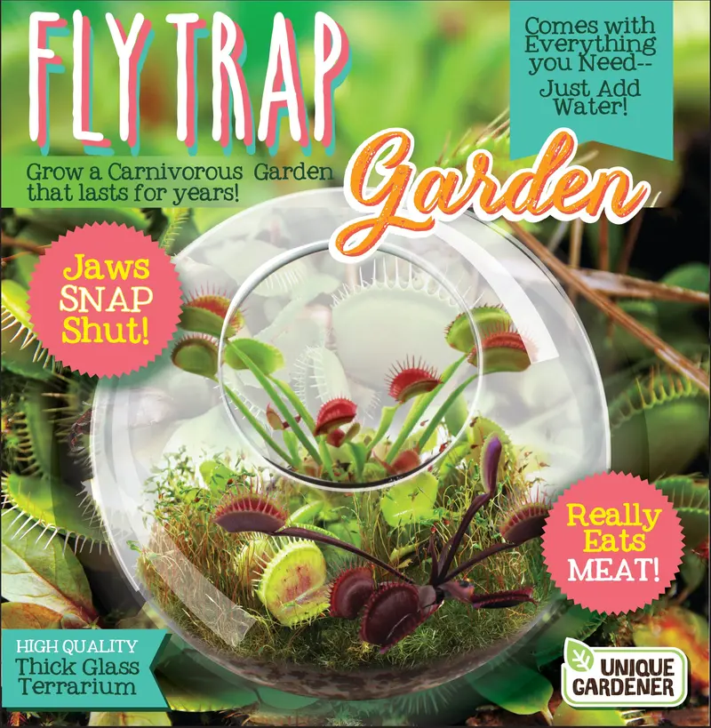 Unique Gardener Carnivorous Plant Terrarium Kit – Glass Fly Trap Science Activity