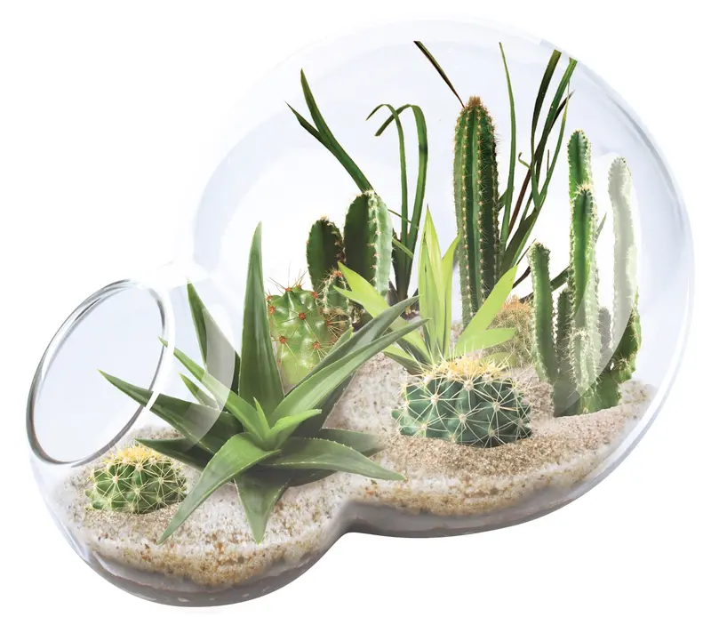 Unique Gardener Double-Sphere Desert Terrarium Kit – Glass Biosphere Set