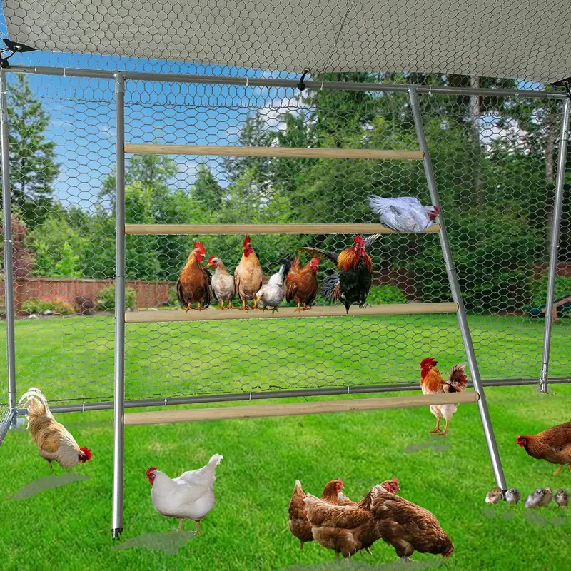 Wooden Chicken Coop Roosting Perch – Poultry Ladder for Backyard Birds & Small Flocks | SKU: S1226