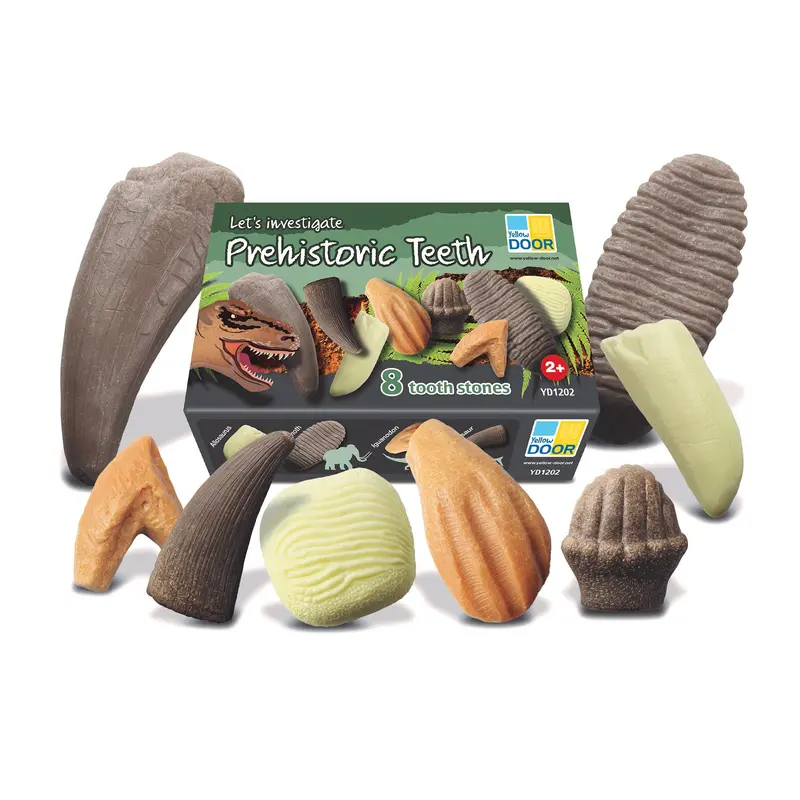 Yellow Door Prehistoric Teeth Discovery Kit – 8-Piece Paleontology Exploration Set